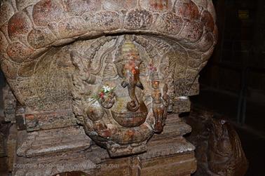 Meenakshi Temple, Madurai,_DSC_8110_H600